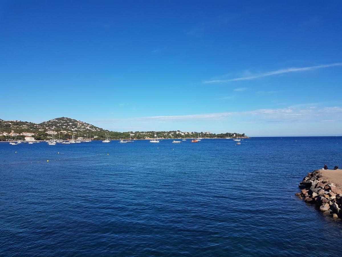 Grand T3 - Terrasse Les Pieds Dans L'Eau - Climatisation Appartement Saint-Raphaël Buitenkant foto